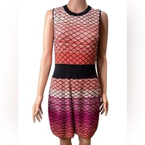 Catherine Malandrino Multicolor Sleeveless Stretchy Crochet Knit Dress Large